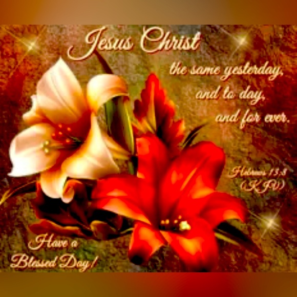 Meet your Posher, Nique - Picture 1 of 1